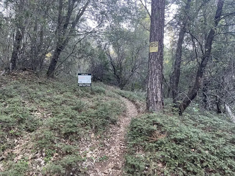 0 Defender Grade, Pioneer, CA 95666 - #3