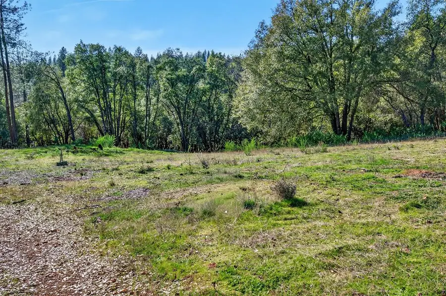 1 Cuckoo Court, Applegate, CA 95703 - #2