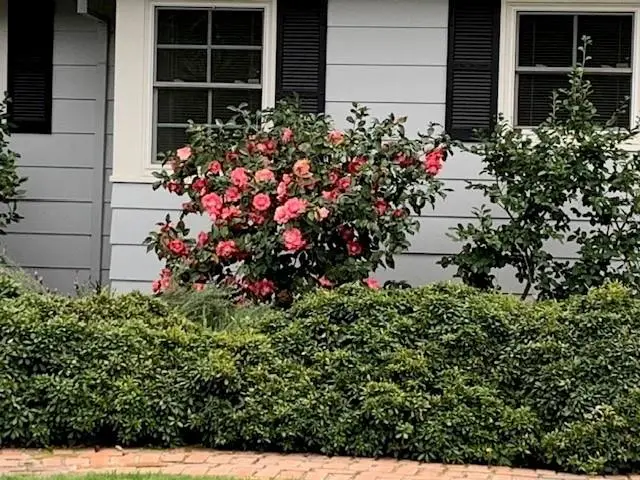 3710 Orchard Lane, Sacramento, CA 95821 - #3