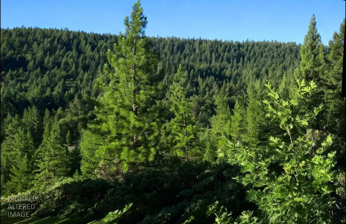 0 Lee Road, Quincy, CA 95971 - #1