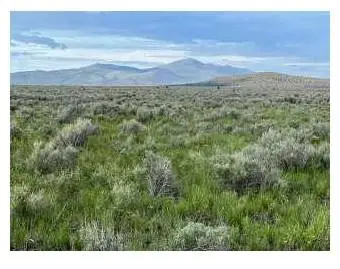 9999 Prairie Drive, Termo, CA 96132