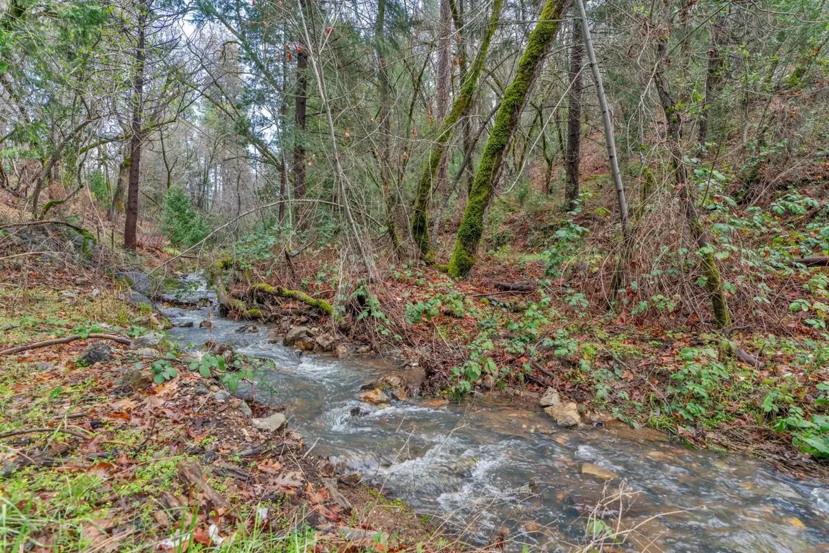 15 Old Vineyard, Placerville, CA 95667 - #1