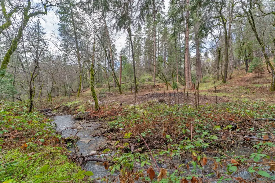 15 Old Vineyard, Placerville, CA 95667 - #2