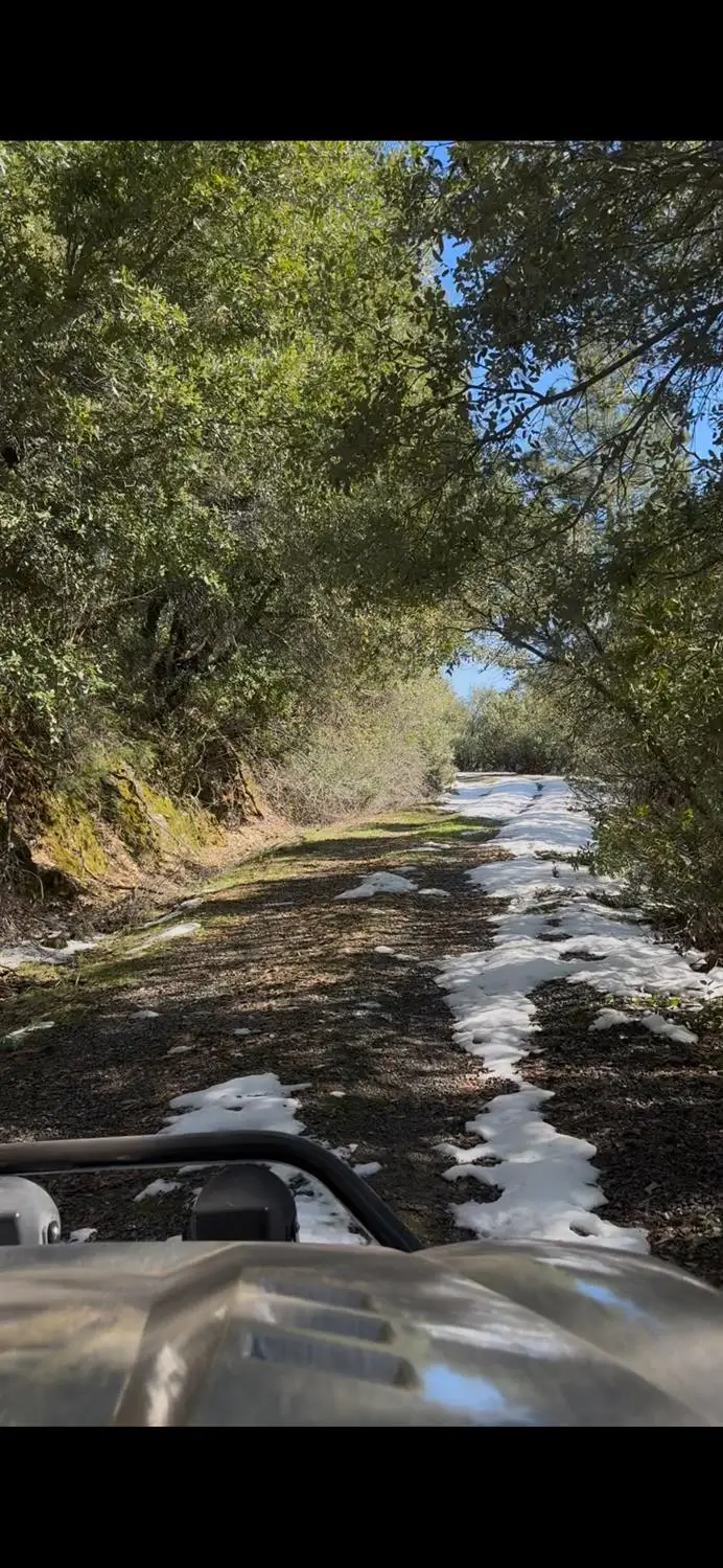 15238 Highway 26, Glencoe, CA 95245 - #3