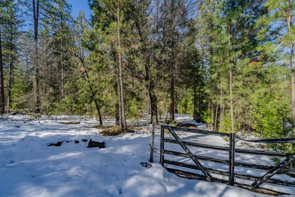 4801 Blue Mountain Road, Wilseyville, CA 95257 - #1