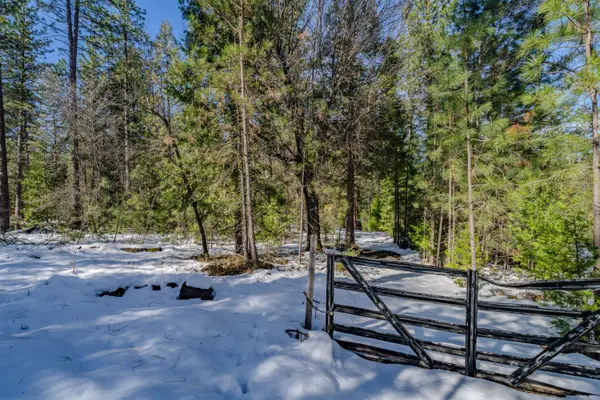 4801 Blue Mountain Road, Wilseyville, CA 95257