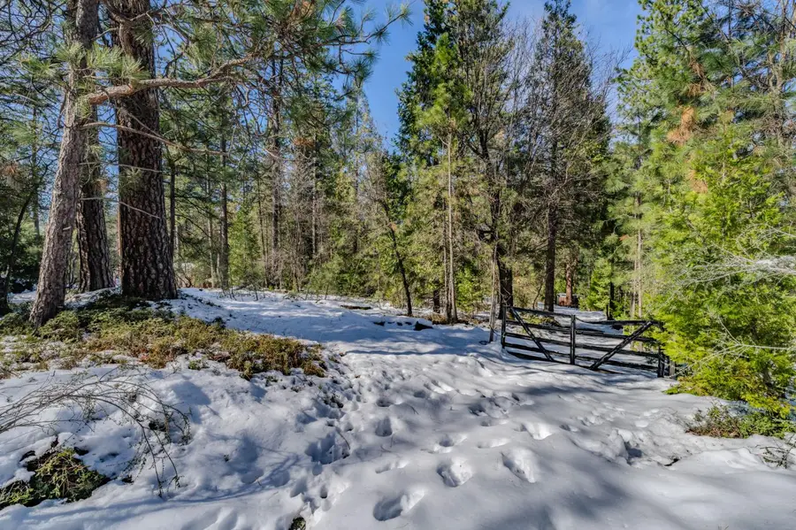 4801 Blue Mountain Road, Wilseyville, CA 95257 - #2