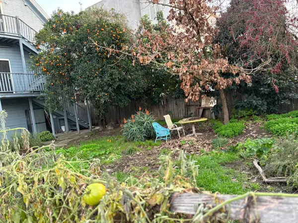 920 Tomato Alley, Sacramento, CA 95818