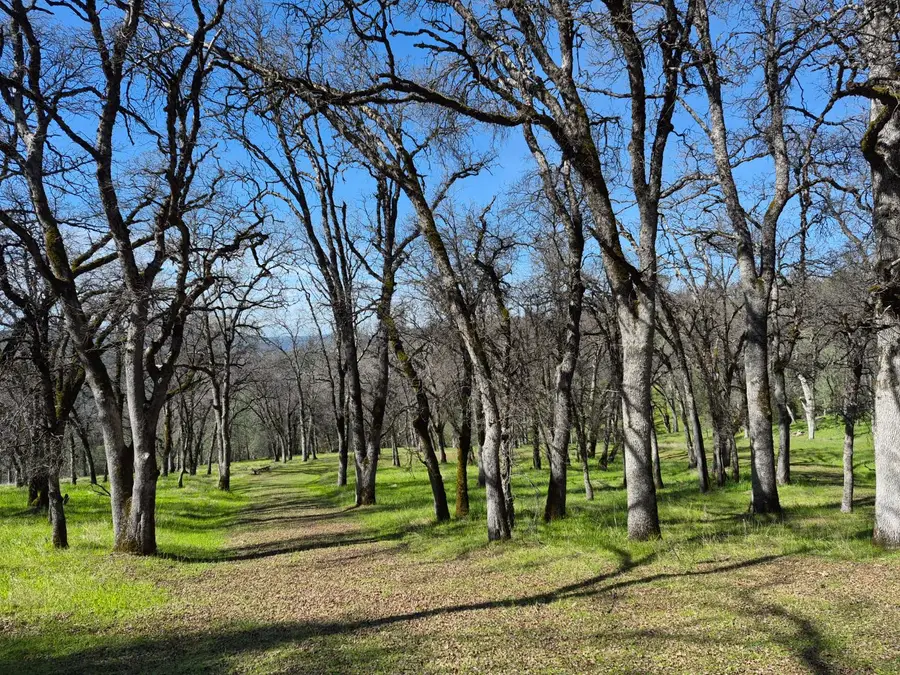 7411 Riverbend Drive, Placerville, CA 95667 - #2