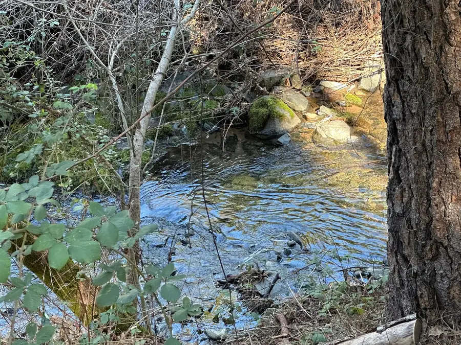 0 NE Treasure Rock Lane, Placerville, CA 95667 - #3