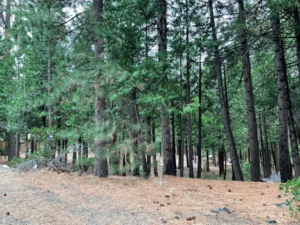 3065 Apache Road, Arnold, CA 95223