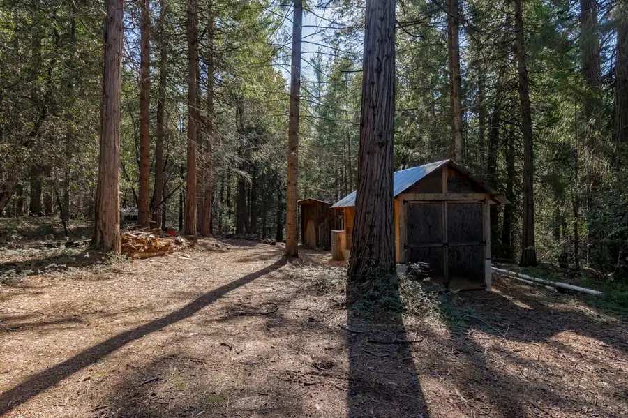 0 Gold Creek Trail, Volcano, CA 95689 - #3