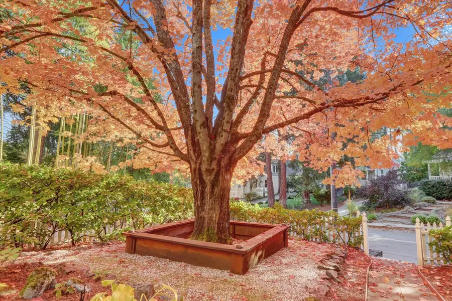 432 S Pine Street, Nevada City, CA 95959 - #2