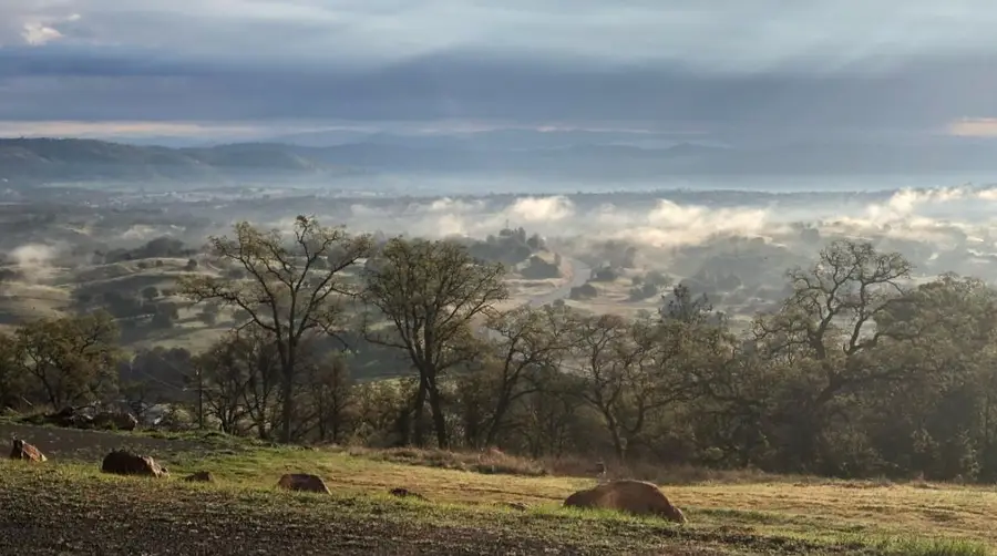 2460 Sulkey Court, Copperopolis, CA 95228 - #2