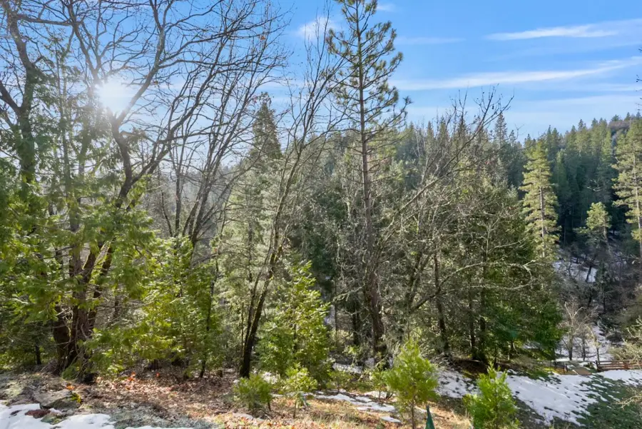 1191 Barney Way, West Point, CA 95255 - #3