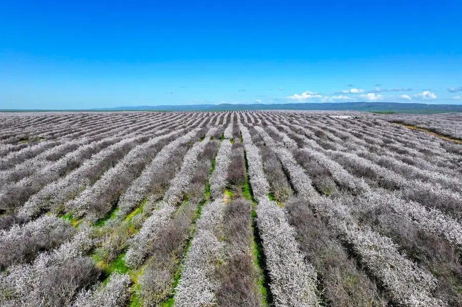 0 Horseshoe Road, Oakdale, CA 95361 - #2