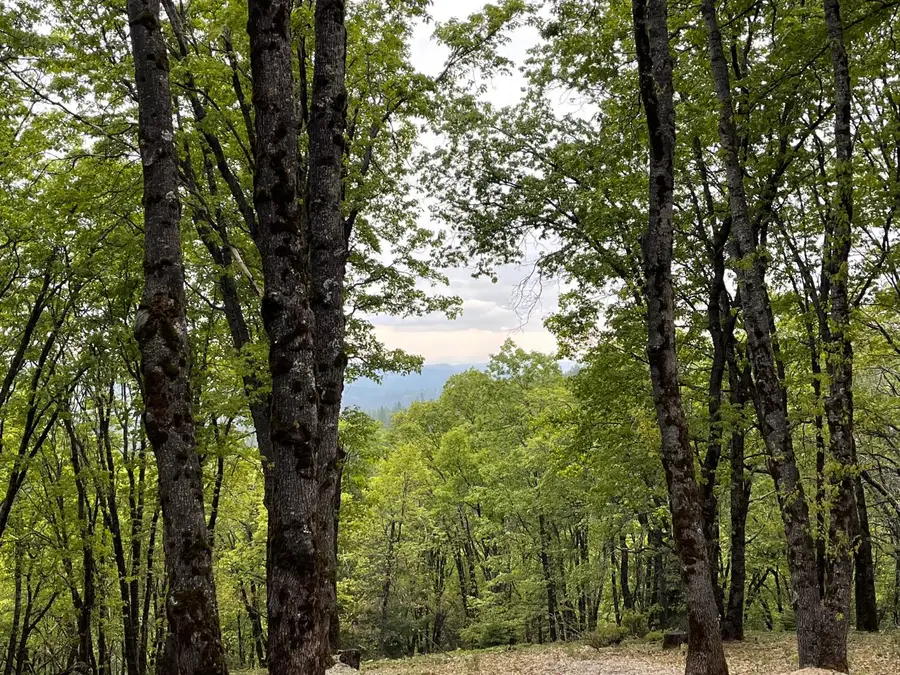 14437 Lightning Tree Road, Nevada City, CA 95959 - #2