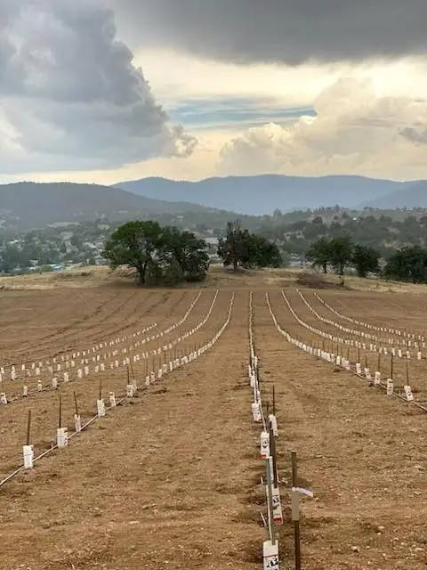 739 E. Oberlin Road, Yreka, CA 96097 - #3