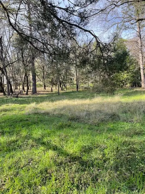 10710 W View Way, Alta Sierra, CA 95949 - #3