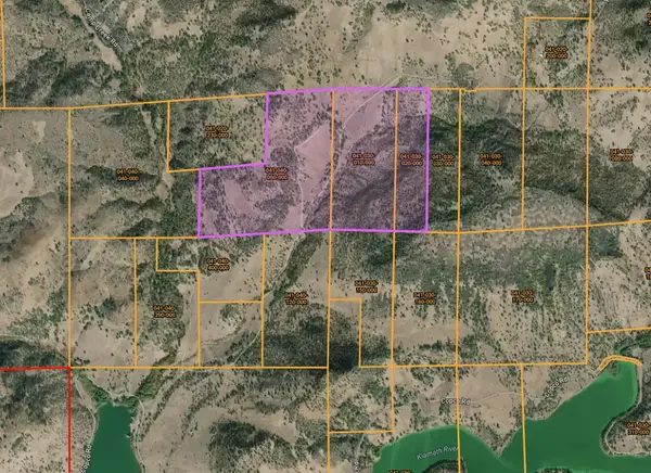 11220 Yellow Dog Trail, Hornbrook, CA 96044