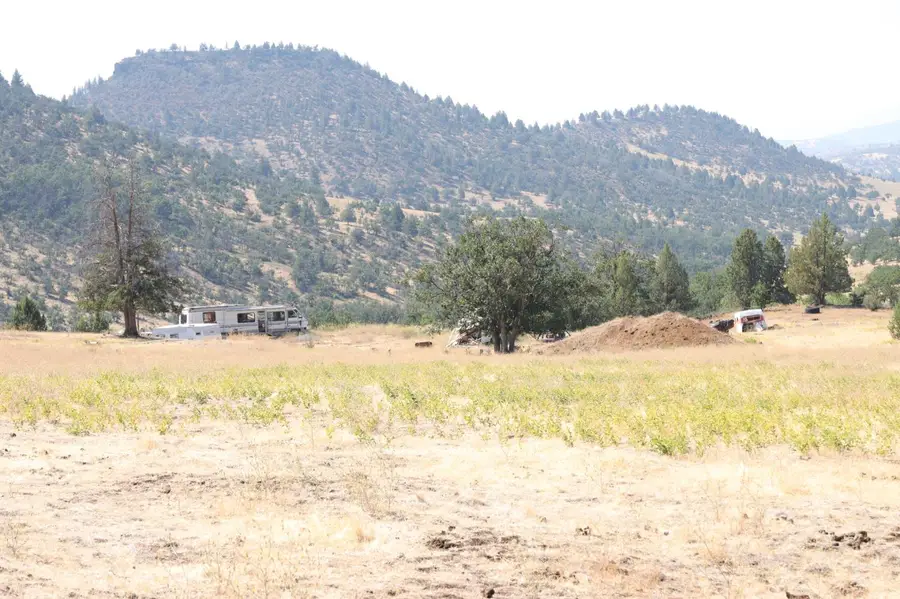 11220 Yellow Dog Trail, Hornbrook, CA 96044 - #2