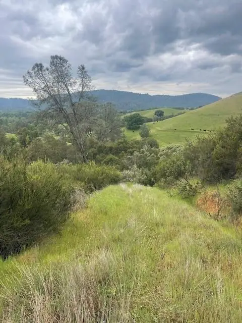 6600 Prospectors Road, Lotus, CA 95651 - #3