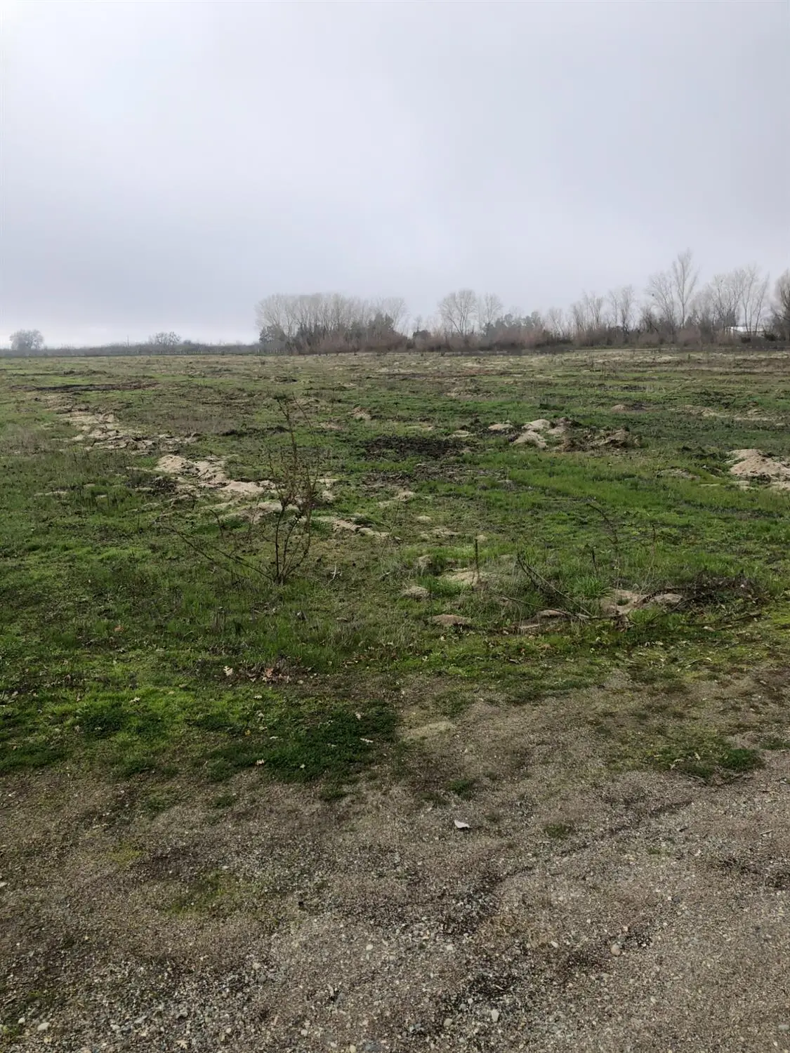 2365 Powell Road, Marysville, CA 95901 - #1