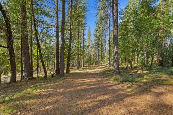 16094 Countrywood, Nevada City, CA 95959
