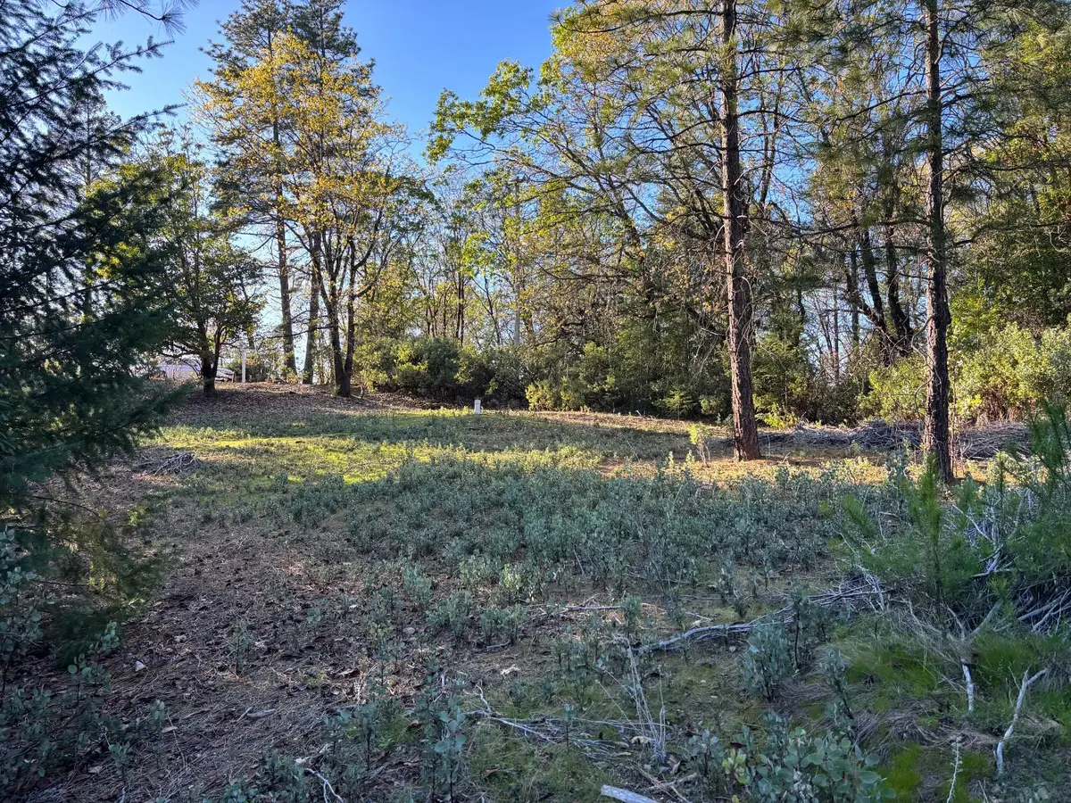 4110 Pine Mountain Road, Foresthill, CA 95631 - #1
