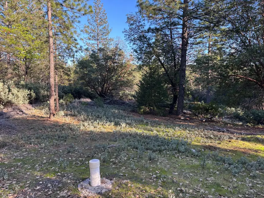 4110 Pine Mountain Road, Foresthill, CA 95631 - #2