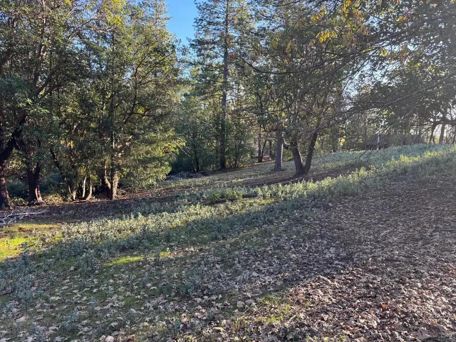 4110 Pine Mountain Road, Foresthill, CA 95631 - #3