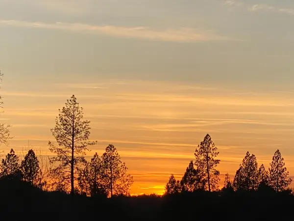 0 Hammonton Smartsville Road, Smartsville, CA 95977