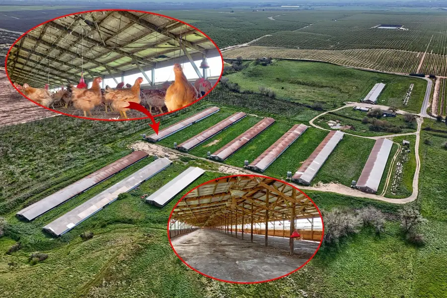 17164 Keyes Road, Snelling, CA 95369 - #2