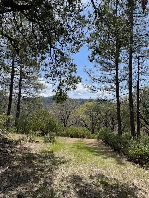 0 Parcel B Armstrong Road, Mountain Ranch, CA 95250 - #3
