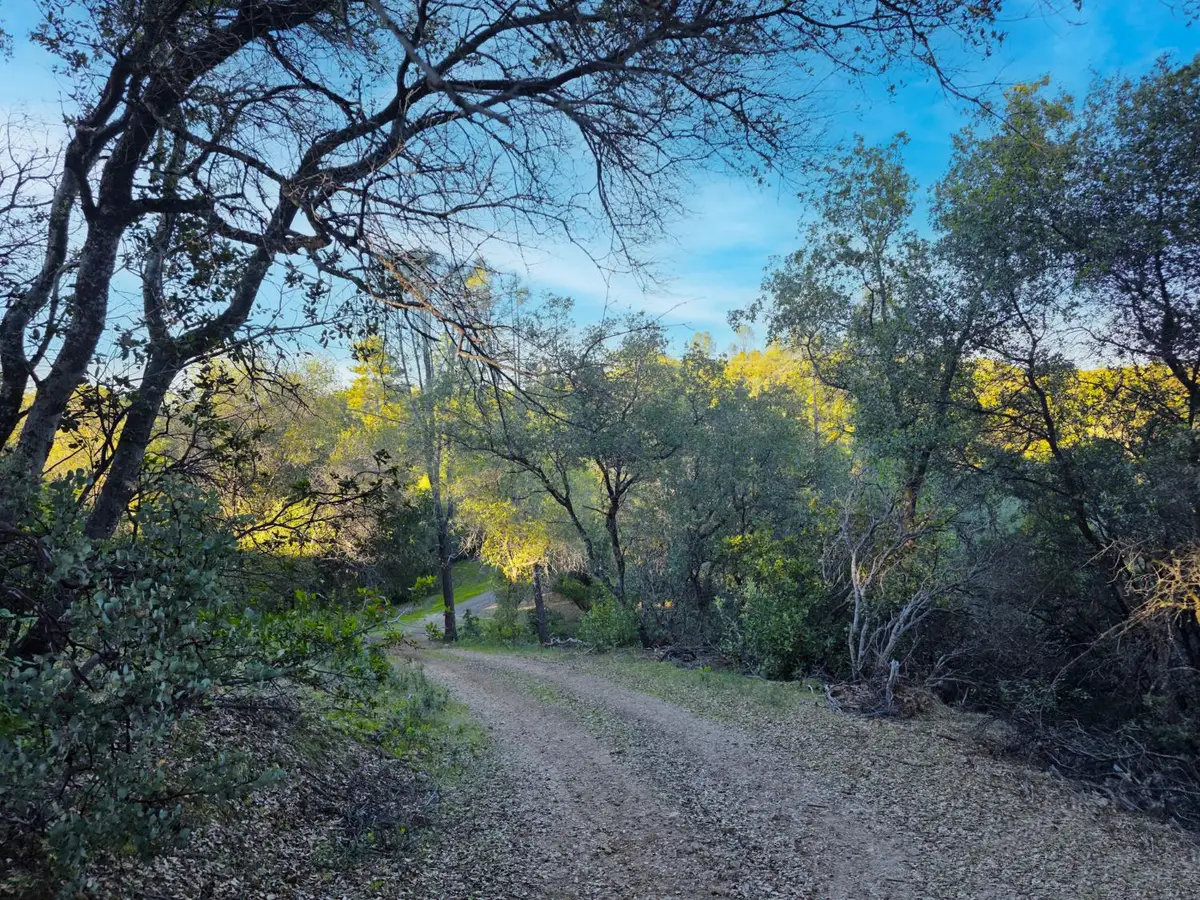 0 Ridge View, Sutter Creek, CA 95685 - #1