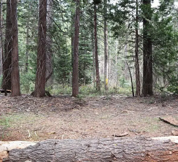 0 Caine Road, Alta, CA 95701