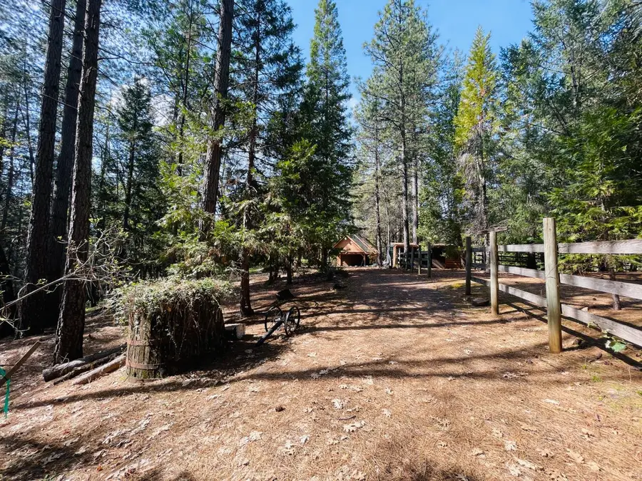 6950 Fools Canyon Road, Georgetown, CA 95634 - #2