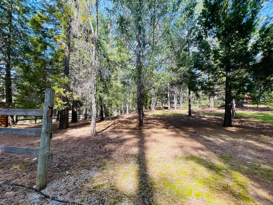 6950 Fools Canyon Road, Georgetown, CA 95634 - #3