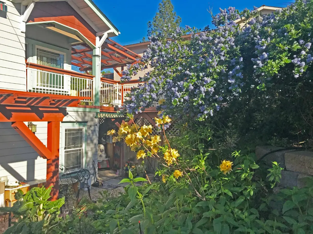 126 Center Street, Jackson, CA 95642 - #1