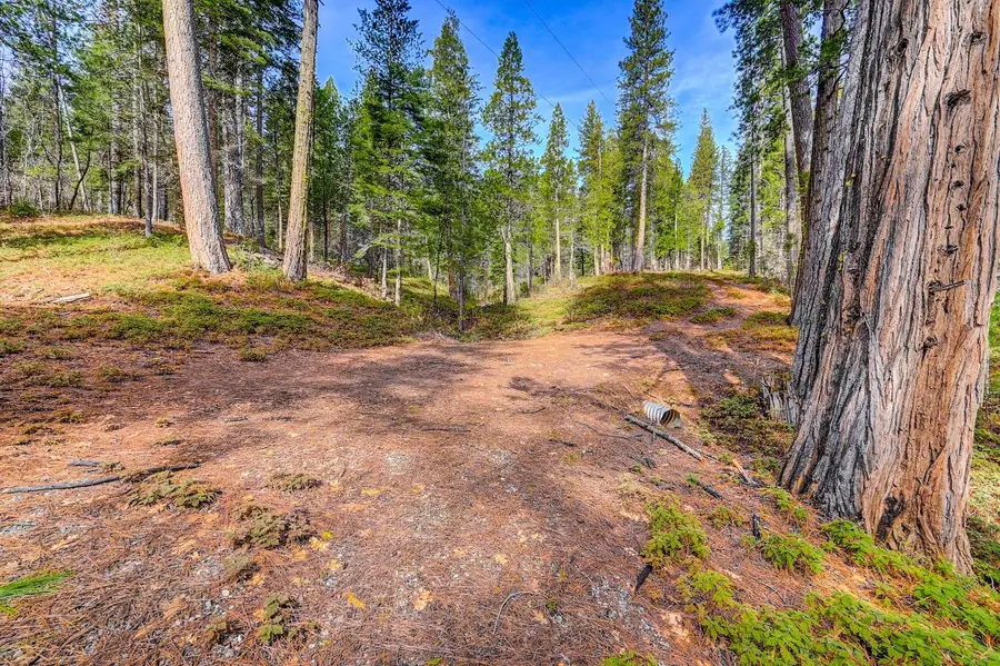 3488 Moran Road, Avery, CA 95224 - #3