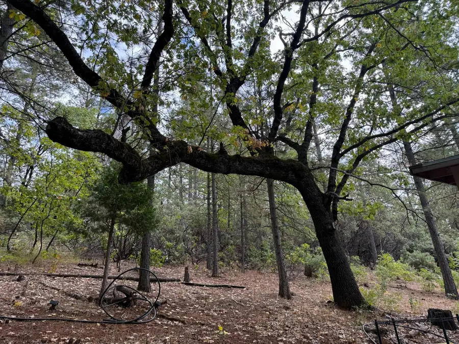 0 Pine Ridge Drive, Brownsville, CA 95919 - #3