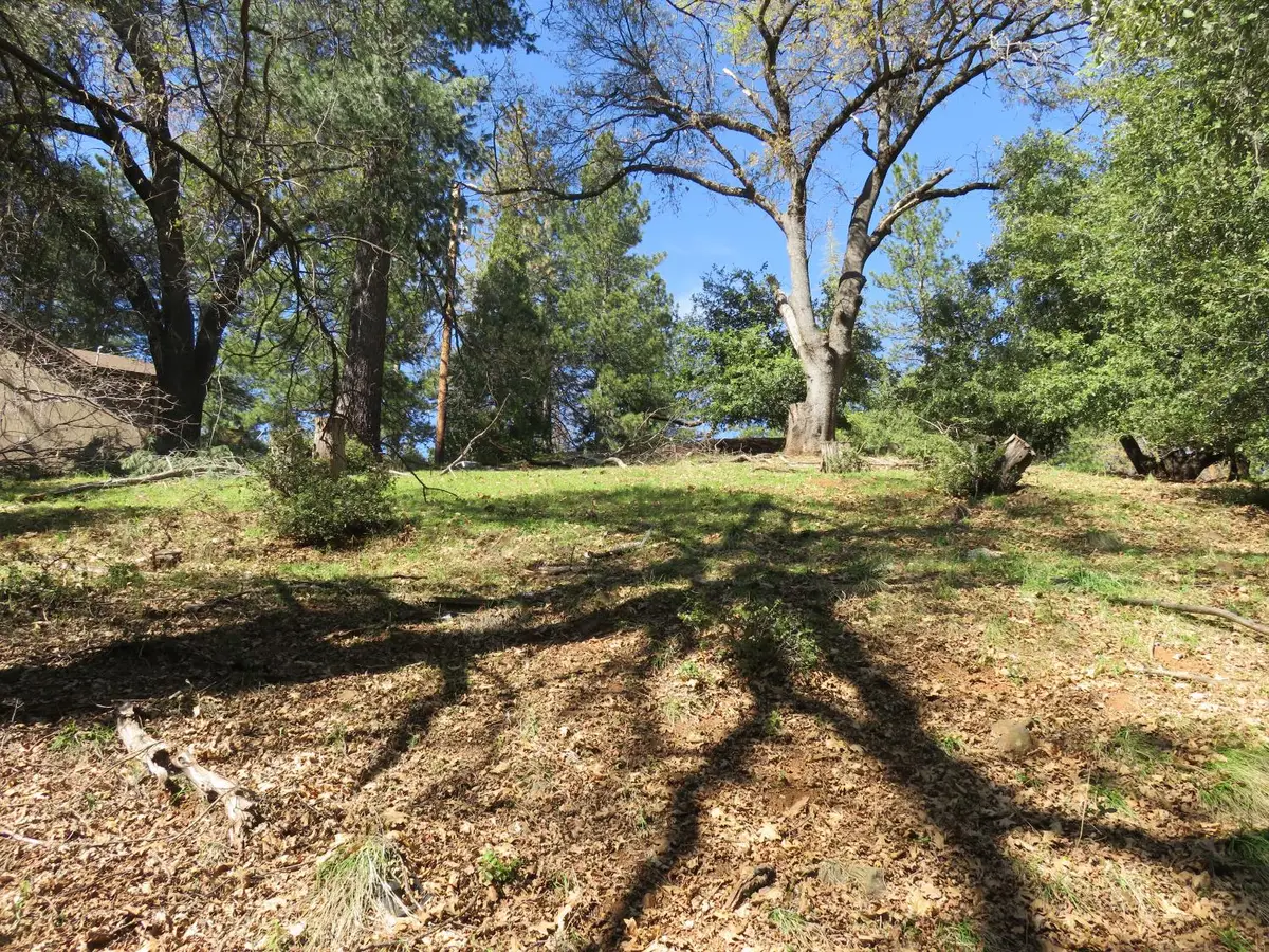 16670 Delores Court, Pioneer, CA 95666 - #1