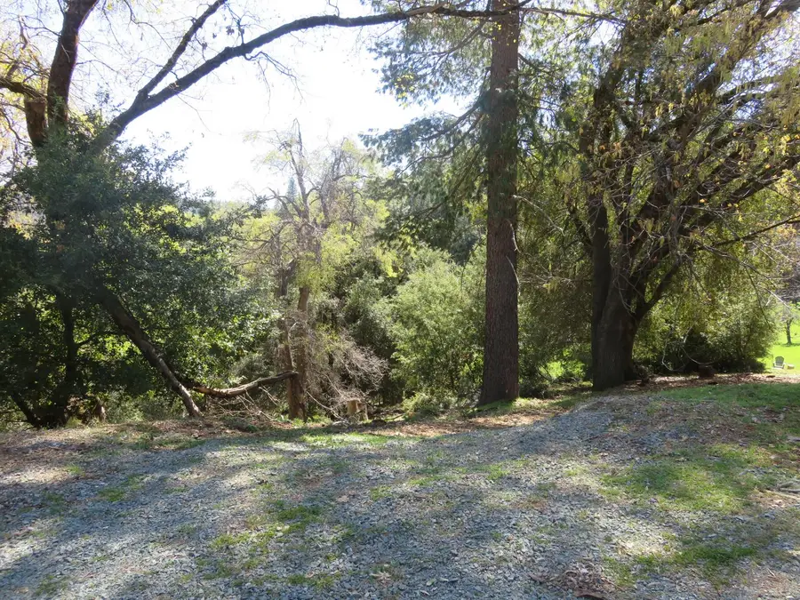 16670 Delores Court, Pioneer, CA 95666 - #3