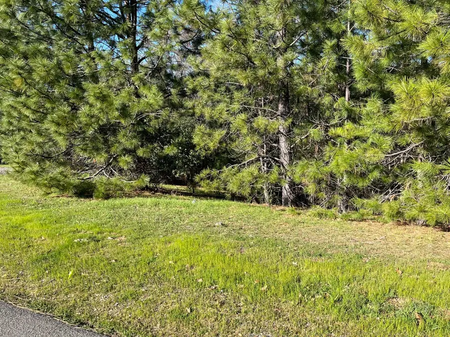 23717 Darkhorse Drive, Auburn, CA 95602 - #2