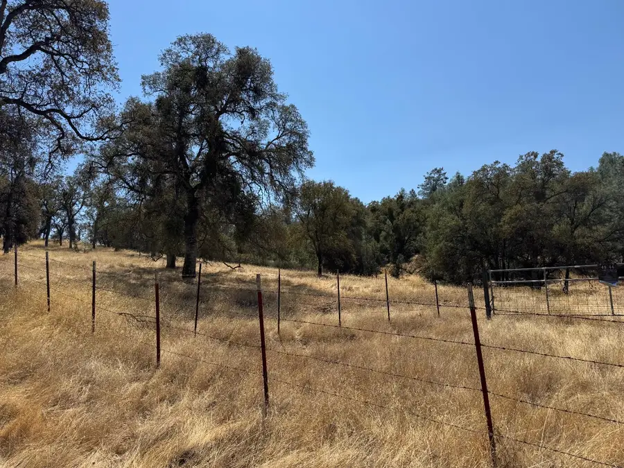 4944 Mary Harrison Mine Road, Coulterville, CA 95311 - #2