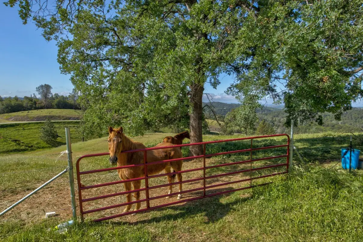 0 Trembath Mtn Rd, Sutter Creek, CA 95685 - #1