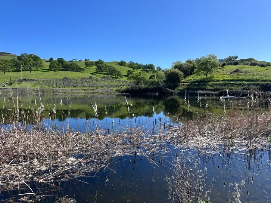 8055 Airola Road, Vallecito, CA 95251 - #3