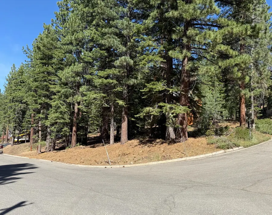 0 Gold Dust Trail, South Lake Tahoe, CA 96150 - #2
