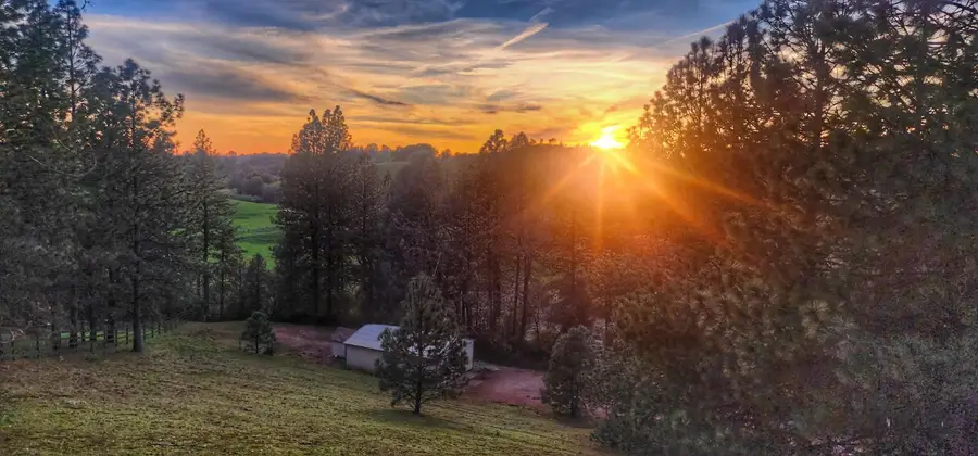 2410 Willow Creek Court, Cool, CA 95614 - #3