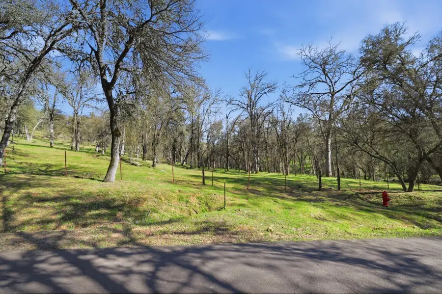 0 Grassy Run Road, Placerville, CA 95667 - #3